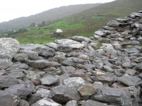 Looking over the wall.jpg